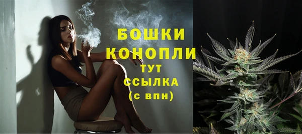 трава Абаза