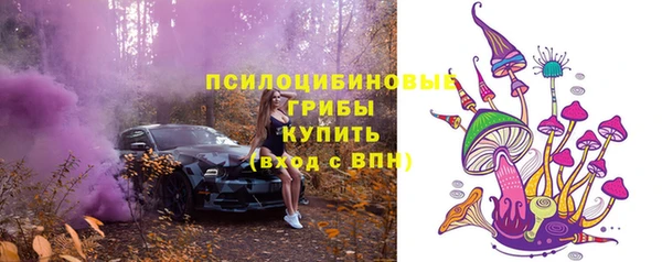 трава Абаза
