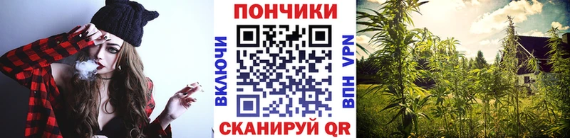 где продают   Ак-Довурак  Бошки марихуана OG Kush 